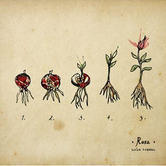 Album Rosa de Luisa Sobral